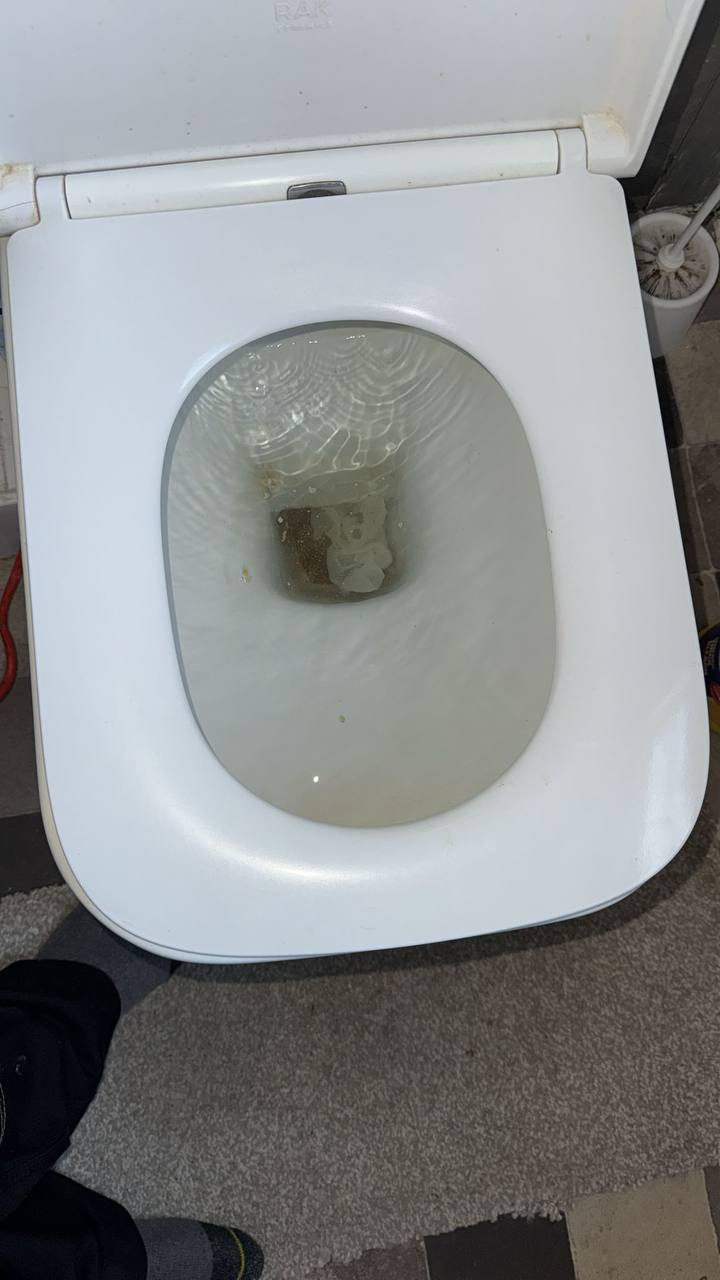 Toilet waste line cleared