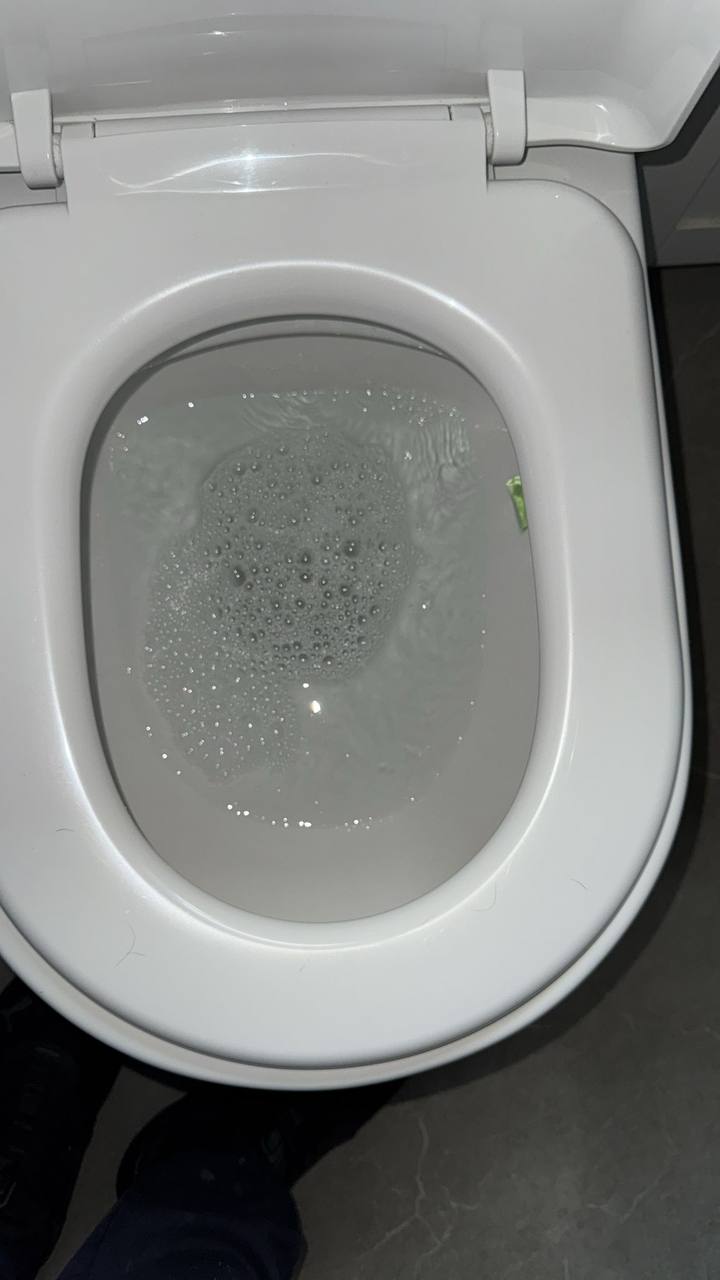 Toilet drain blockage inspection