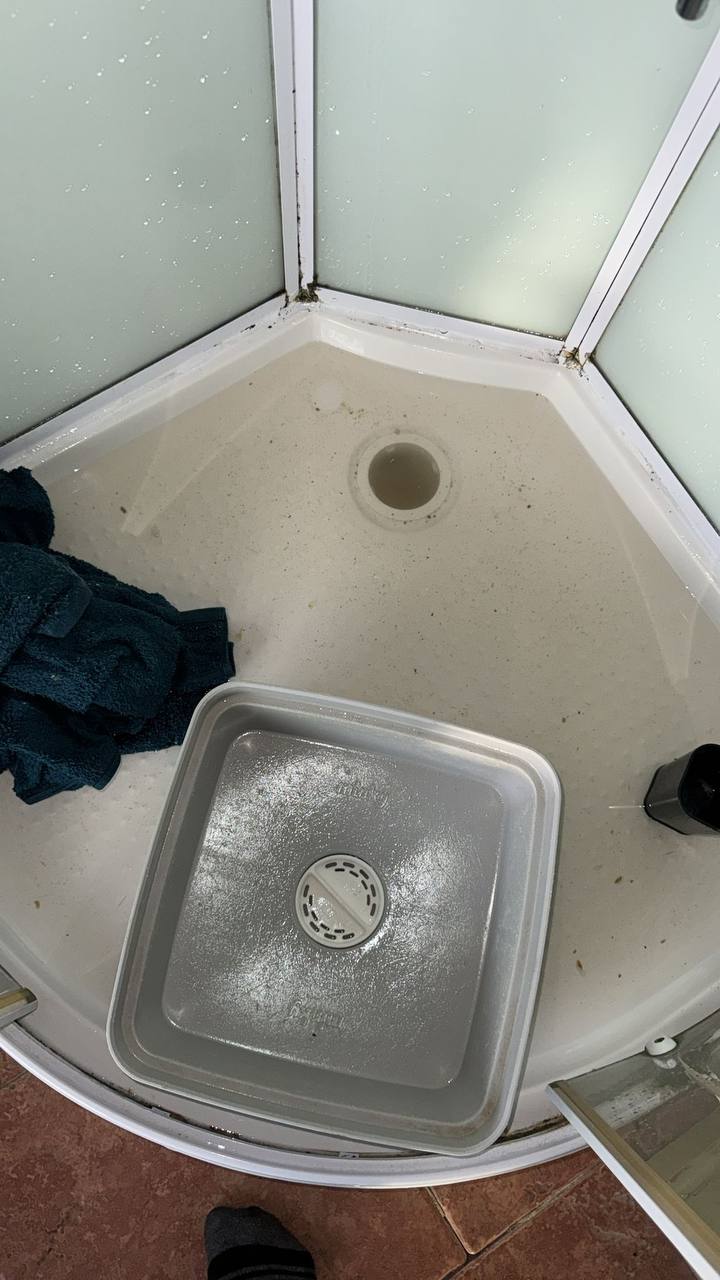 Shower tray waste cleaning