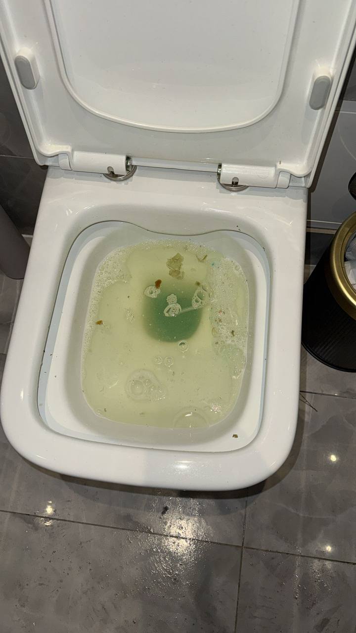 Toilet blockage removal