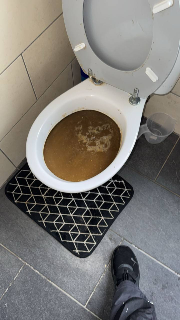 Blocked toilet